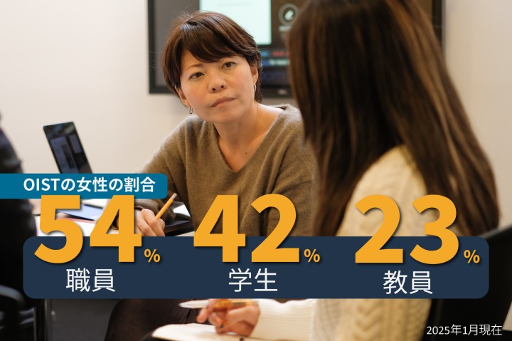 OISTの女性の割合:職員54%、学生42%、教員23%