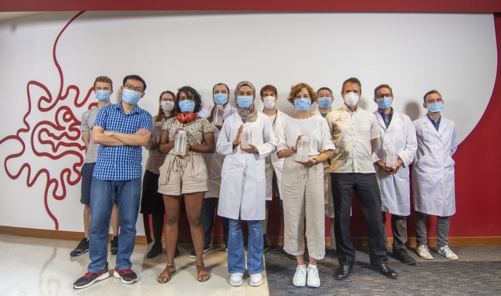 Photo of the 12 male and female members of the OIST gel team.