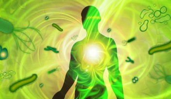 OIST and Corundum Systems Biology to Jointly Establish Fully Automated Multi-omics & Microbiome Data Analysis Lab
