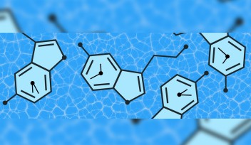 serotonin cover image final